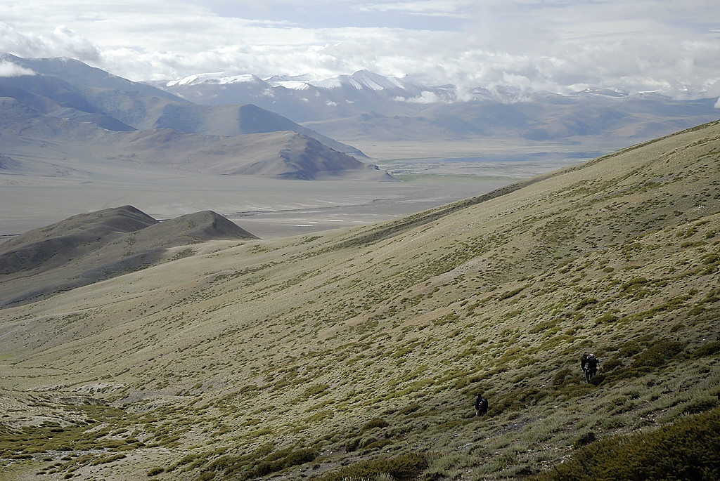 060815-08.jpg - Descente du Shingbuk La sur Tso Kar