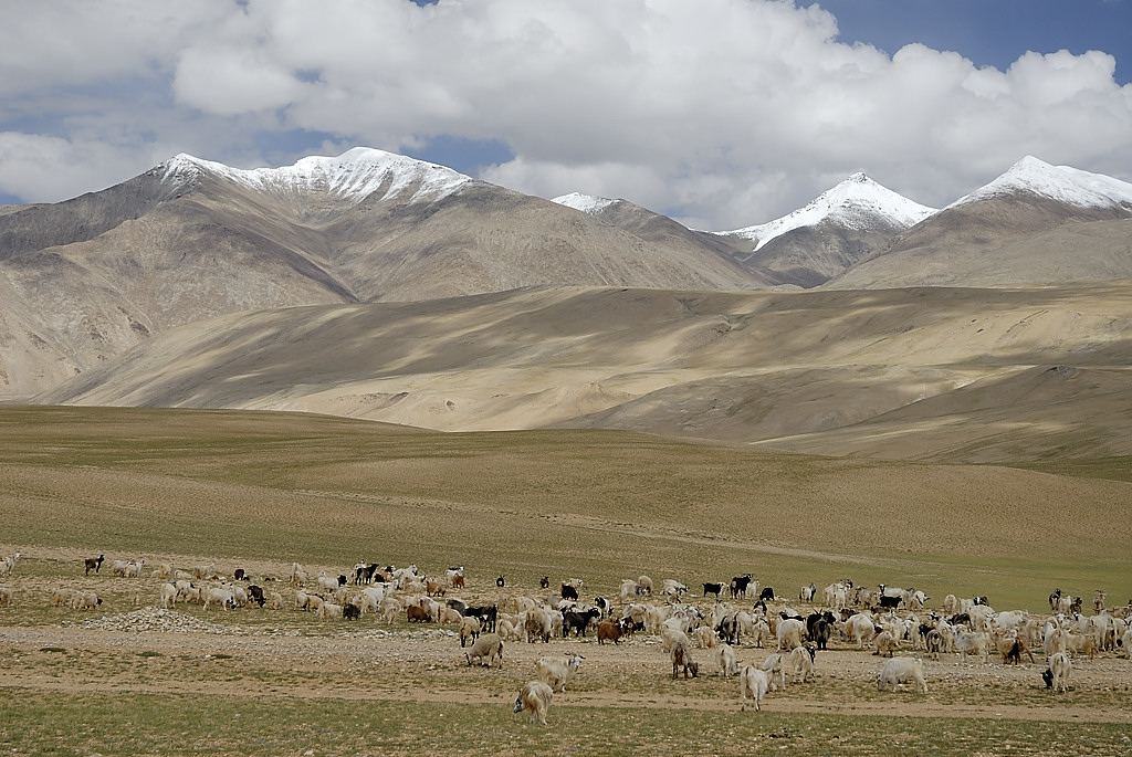 060818-06.jpg - Kiagar Tso