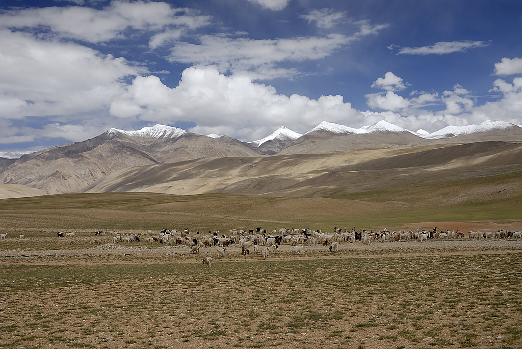 060818-07.jpg - Kiagar Tso