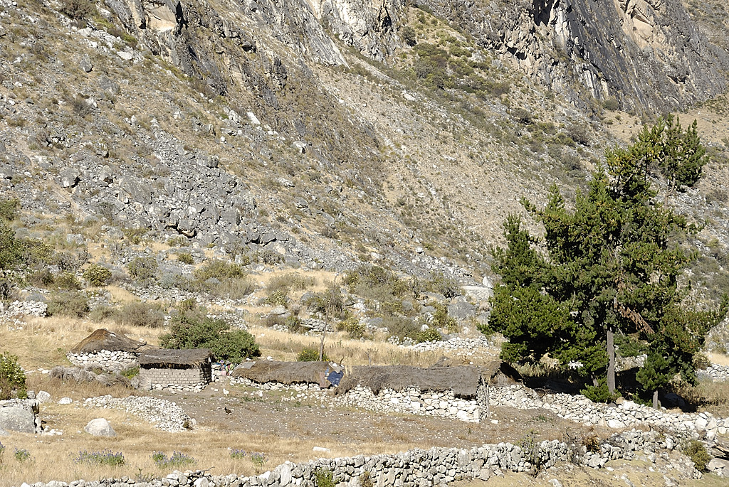 070711-02.jpg - Alpage de Japiachuayta