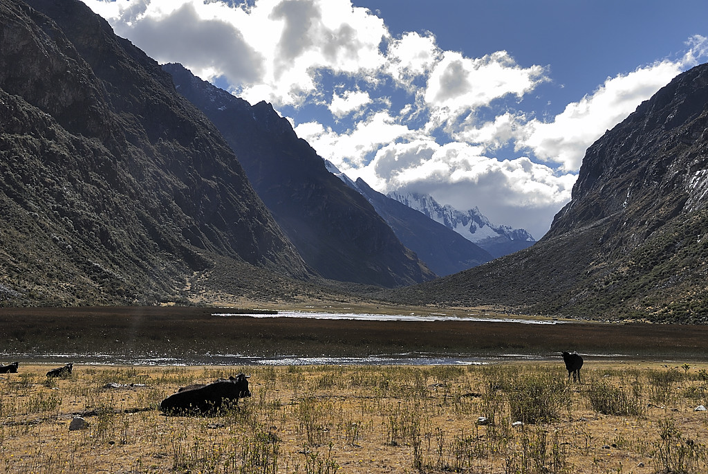 070711-07.jpg - Laguna Ichiccocha