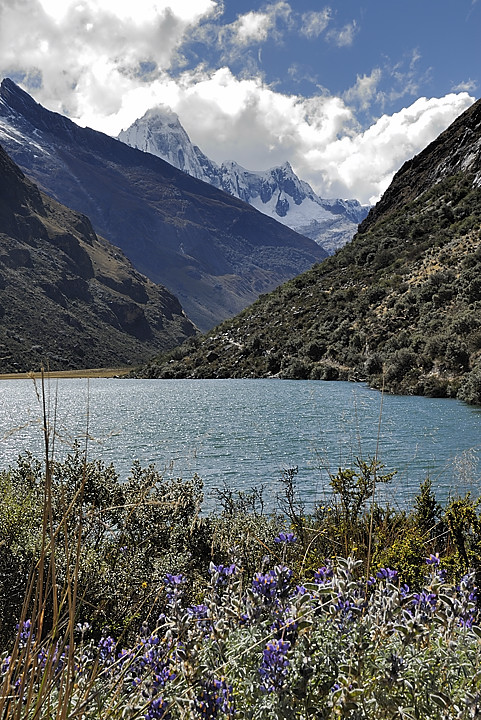 070711-09.jpg - Laguna Jatuncocha