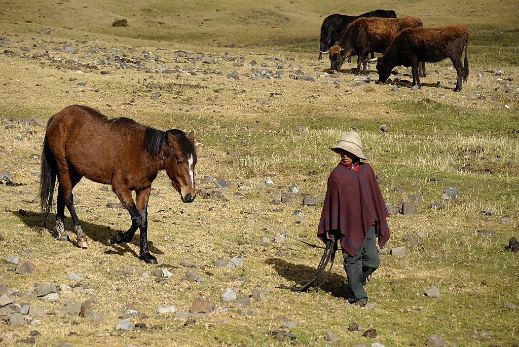 070714-16.jpg - D�part  de Pishgopampa
