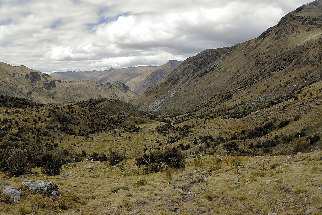 070714-21.jpg - Quebrada Yanajanca