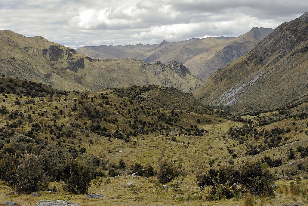 070714-22.jpg - Quebrada Yanajanca