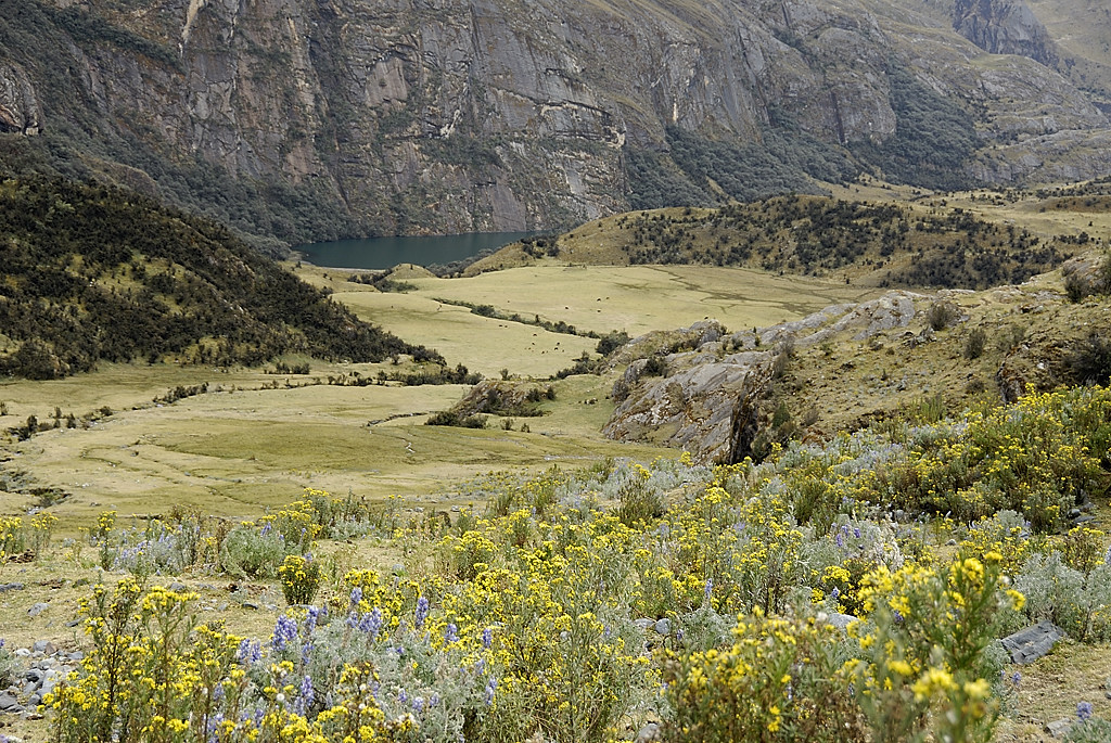 070714-36.jpg - Mont�e au Yanacon