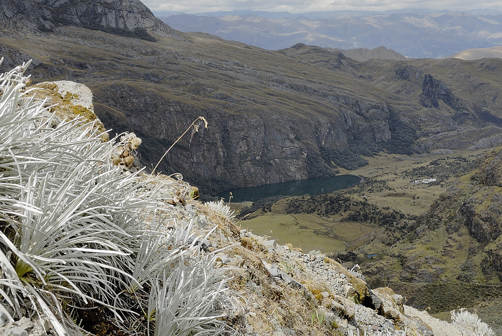070714-39.jpg - Laguna Sactaycocha depuis le Yanacon
