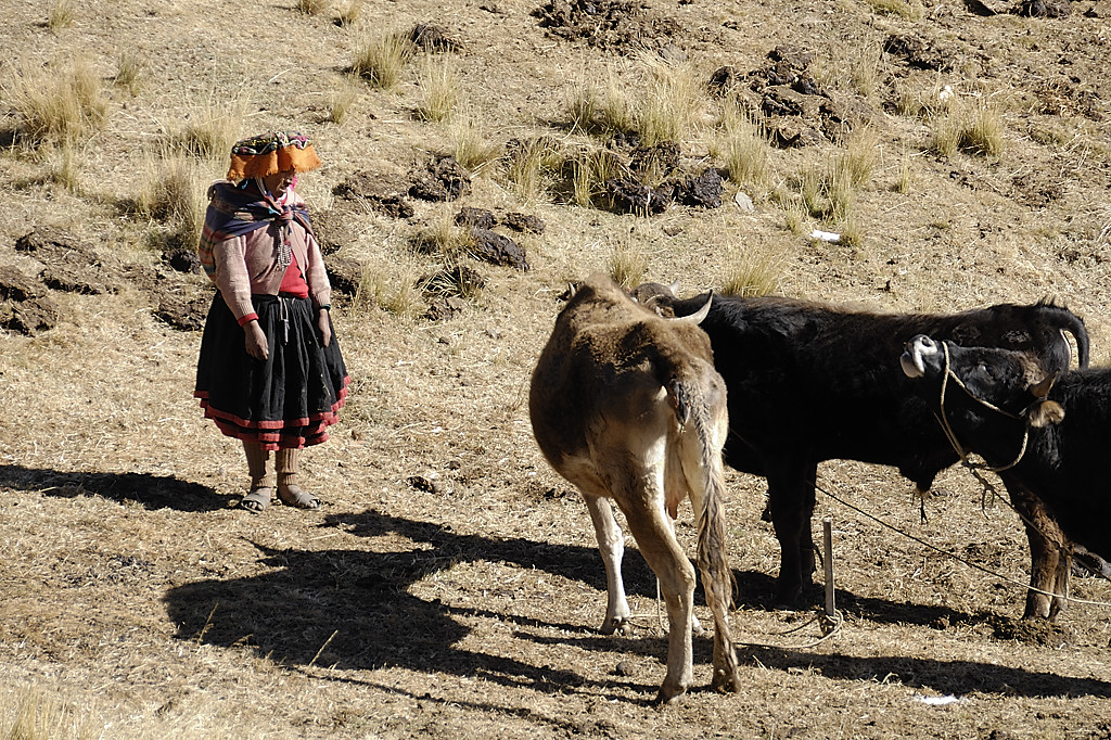 070725-04.jpg - Entre Tinqui et Upis