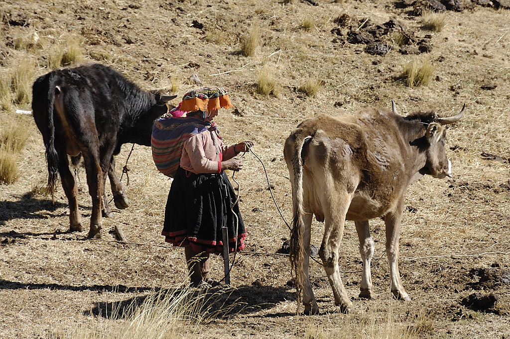 070725-05.jpg - Entre Tinqui et Upis