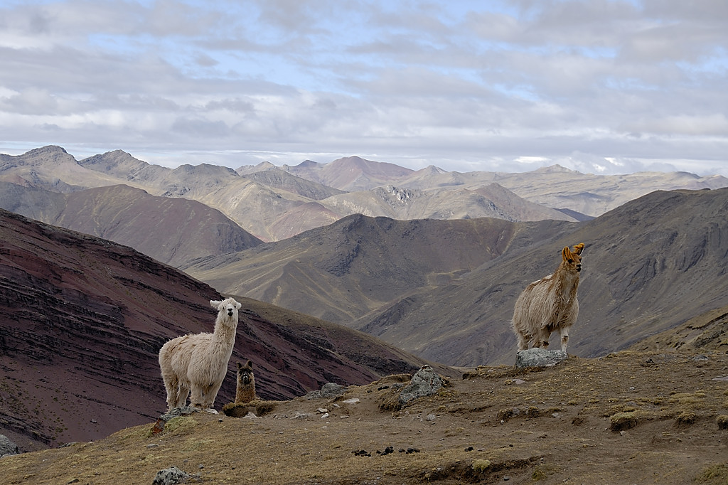 070726-02.jpg - Au Col Apacheta