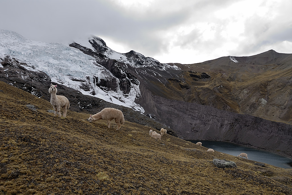 070726-04.jpg - Laguna Auzangatecocha