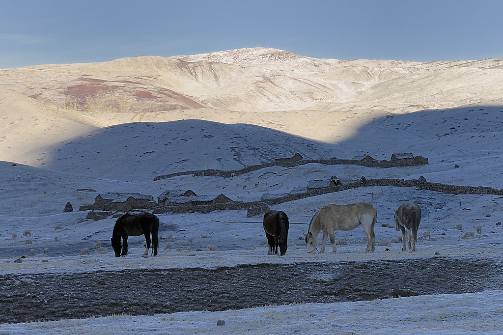 070727-02.jpg - Quilletta