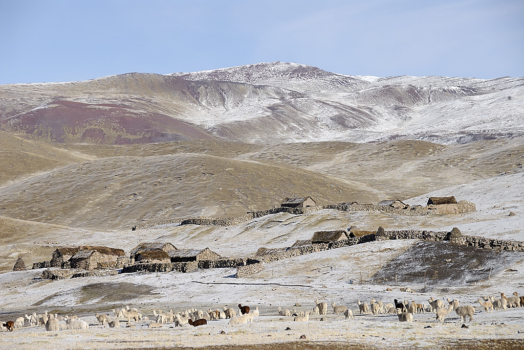 070727-05.jpg - Quilletta