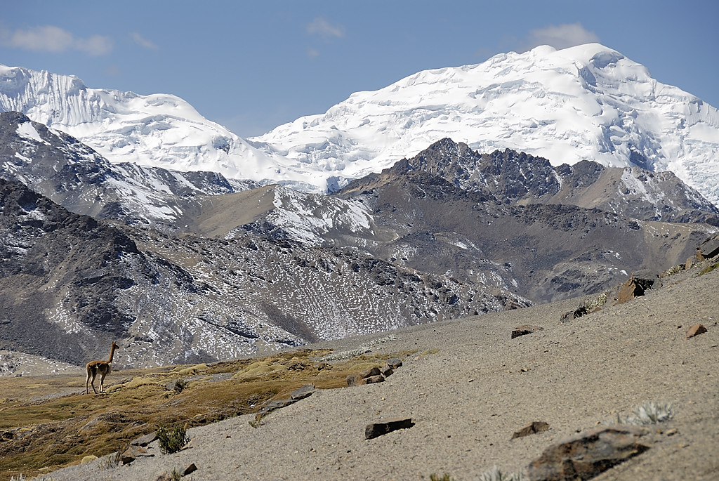 070727-31.jpg - Descente sur la laguna Sibinacocha