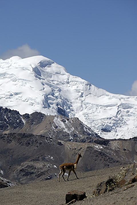 070727-32.jpg - Descente sur la laguna Sibinacocha