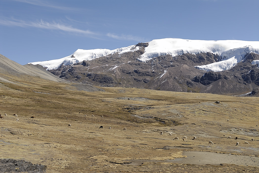 070727-35.jpg - Descente sur la laguna Sibinacocha