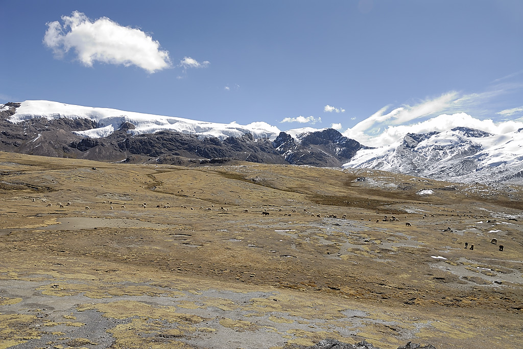 070727-37.jpg - Descente sur la laguna Sibinacocha