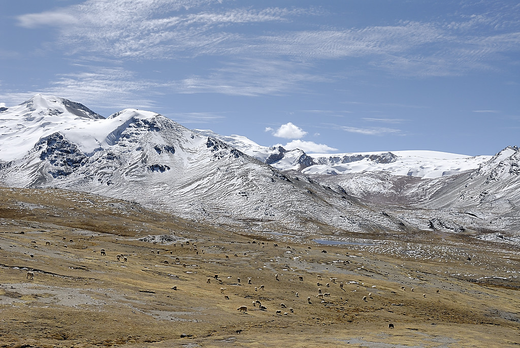 070727-38.jpg - Descente sur la laguna Sibinacocha : chaine Pico-Tres Chumpe Montura