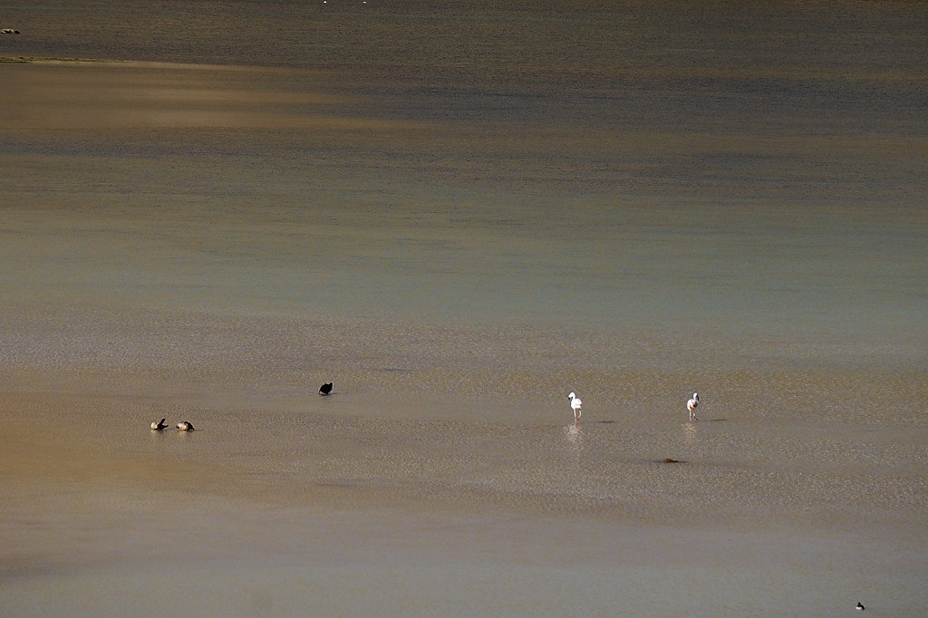 070727-46.jpg - Laguna Sibinacocha