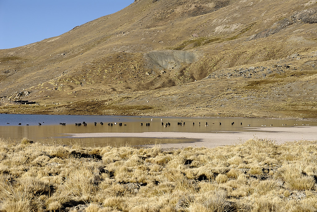 070728-01.jpg - Laguna Sibinacocha