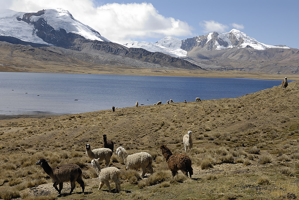 070728-18.jpg - Le long de la laguna Ccasccara