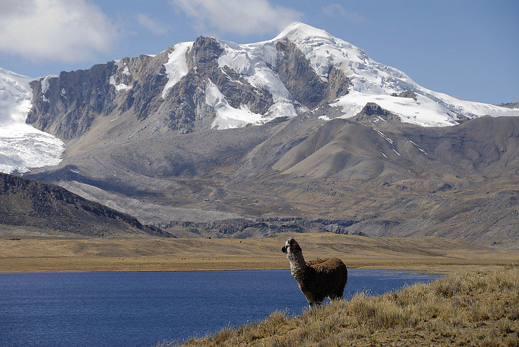 070728-19.jpg - Le long de la laguna Ccasccara