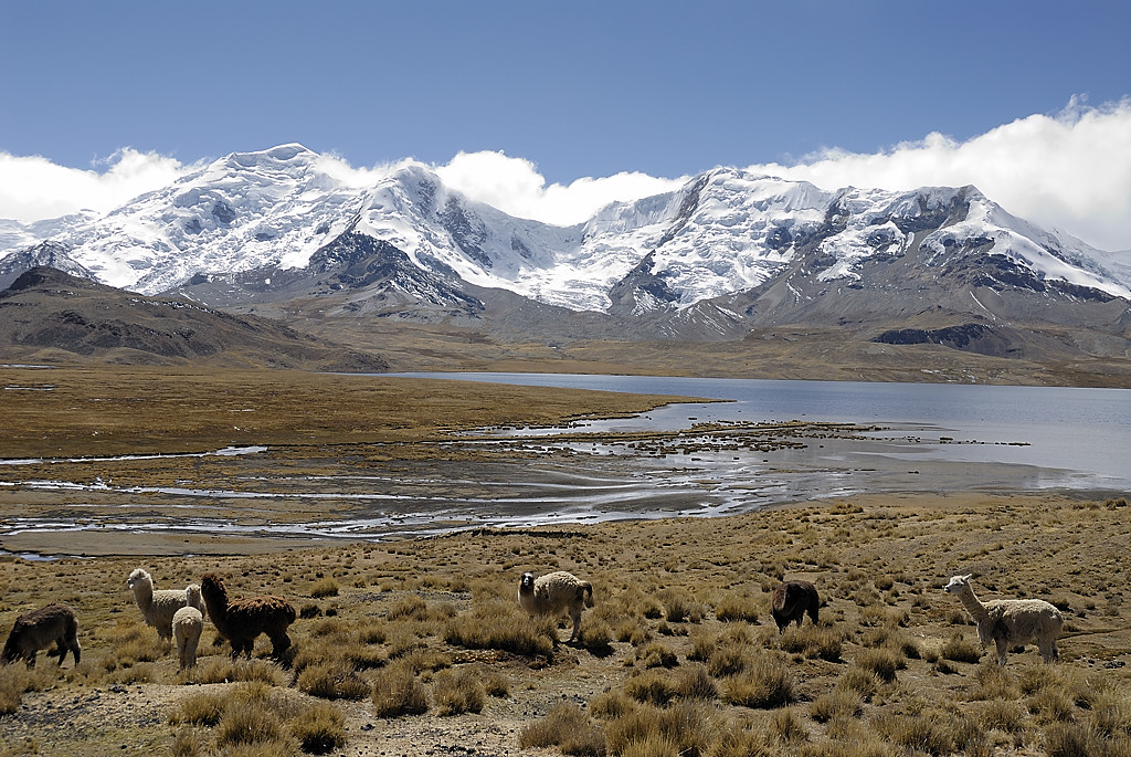 070728-20.jpg - Le long de la laguna Ccasccara