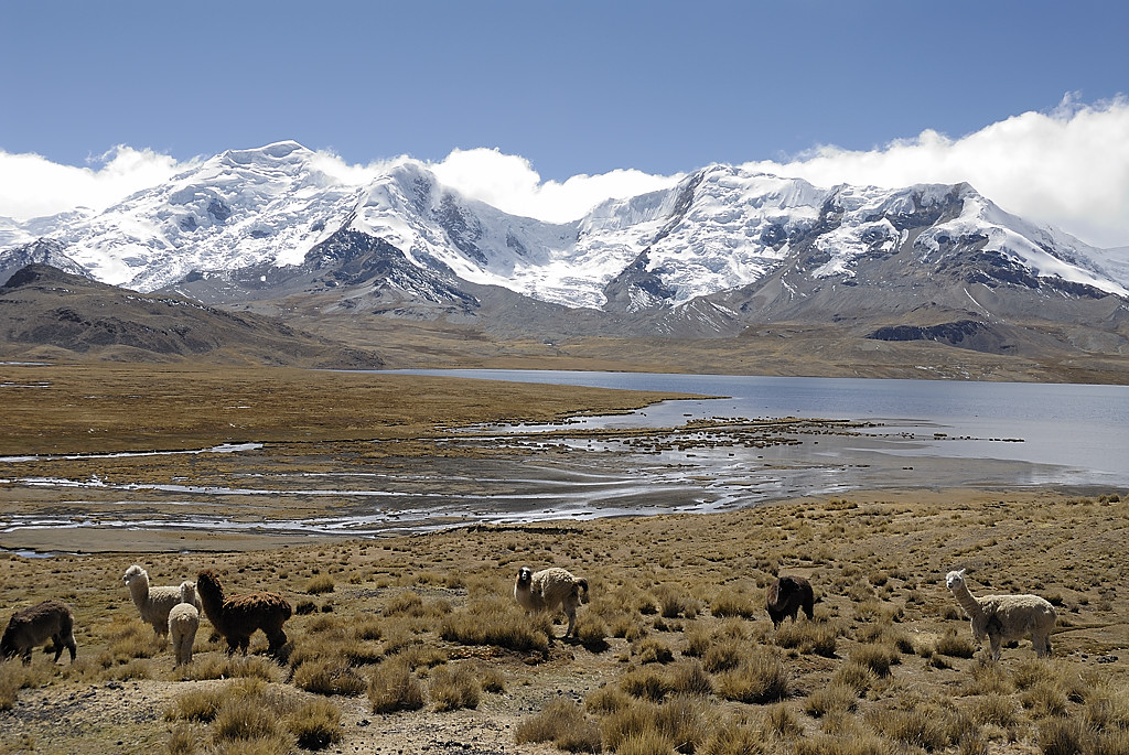 070728-21.jpg - Le long de la laguna Ccasccara : nevado Montura
