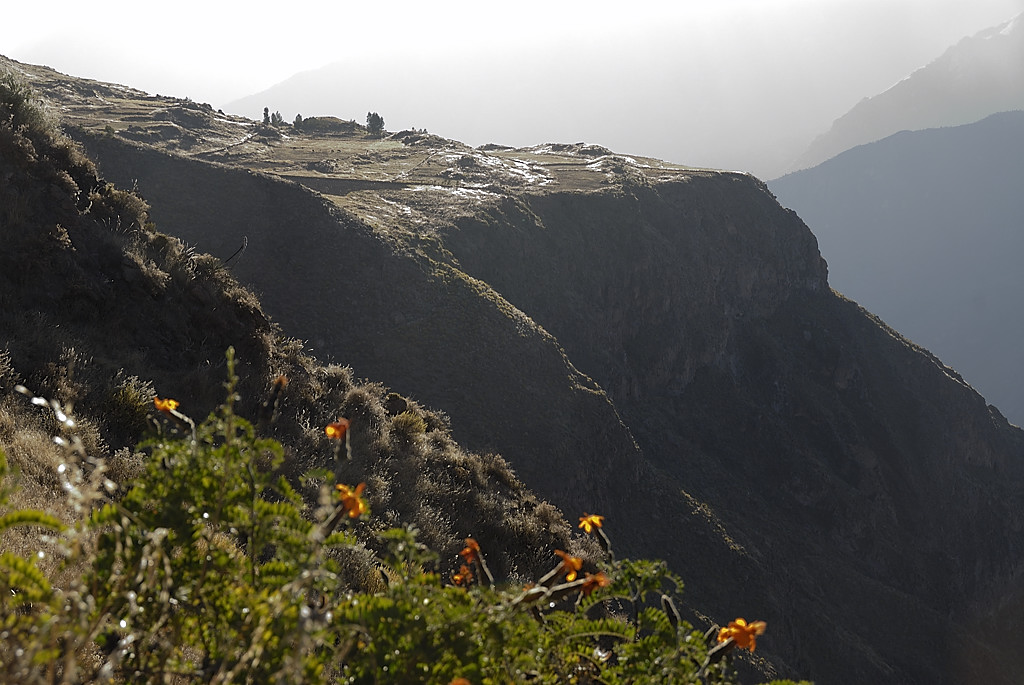 070801-02.jpg - Terrasses du Rio Colca