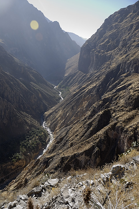 070802-01.jpg - Descente depuis Cabanaconde vers San Juan de Chucco