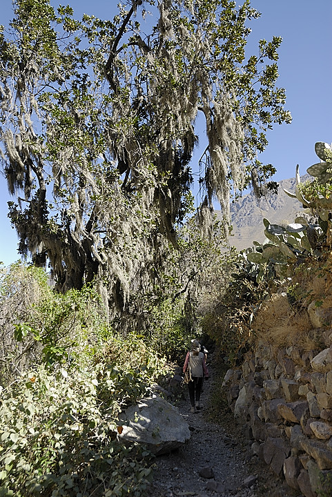 070802-03.jpg - Environs de San Juan de Chucco