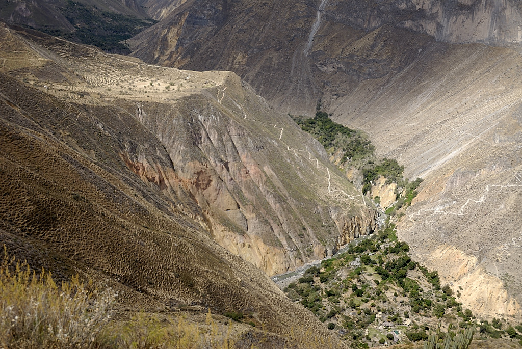 070802-06.jpg - Oasis de Sangalle