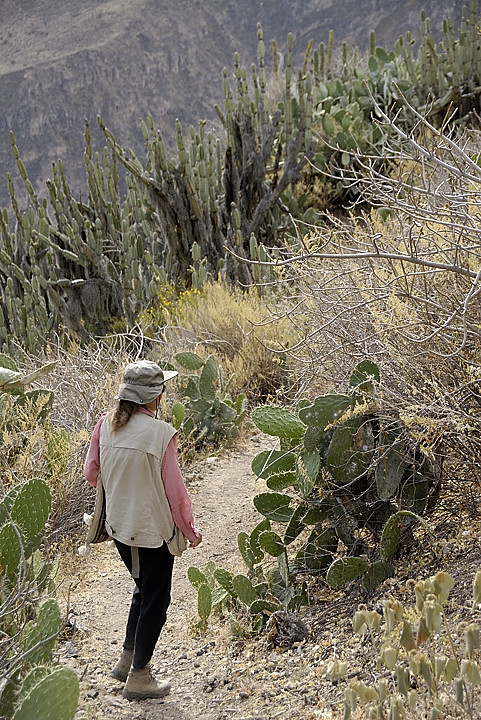 070802-07.jpg - Entre Malata et Llahuar