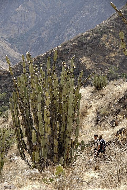 070802-08.jpg - Entre Malata et Llahuar
