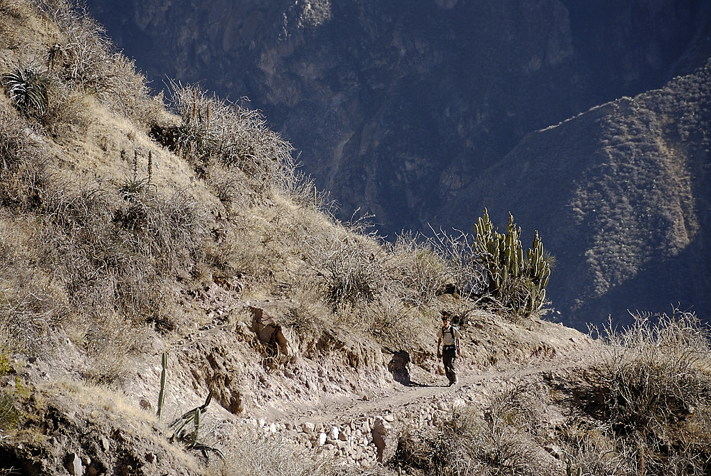 070803-01.jpg - Entre Llahuar et Cabanaconde