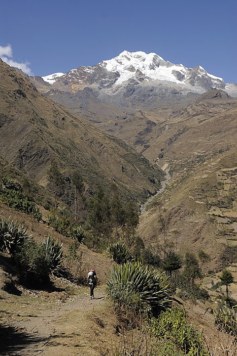 080722-06.jpg - Au dessus de Sarata : Illampu