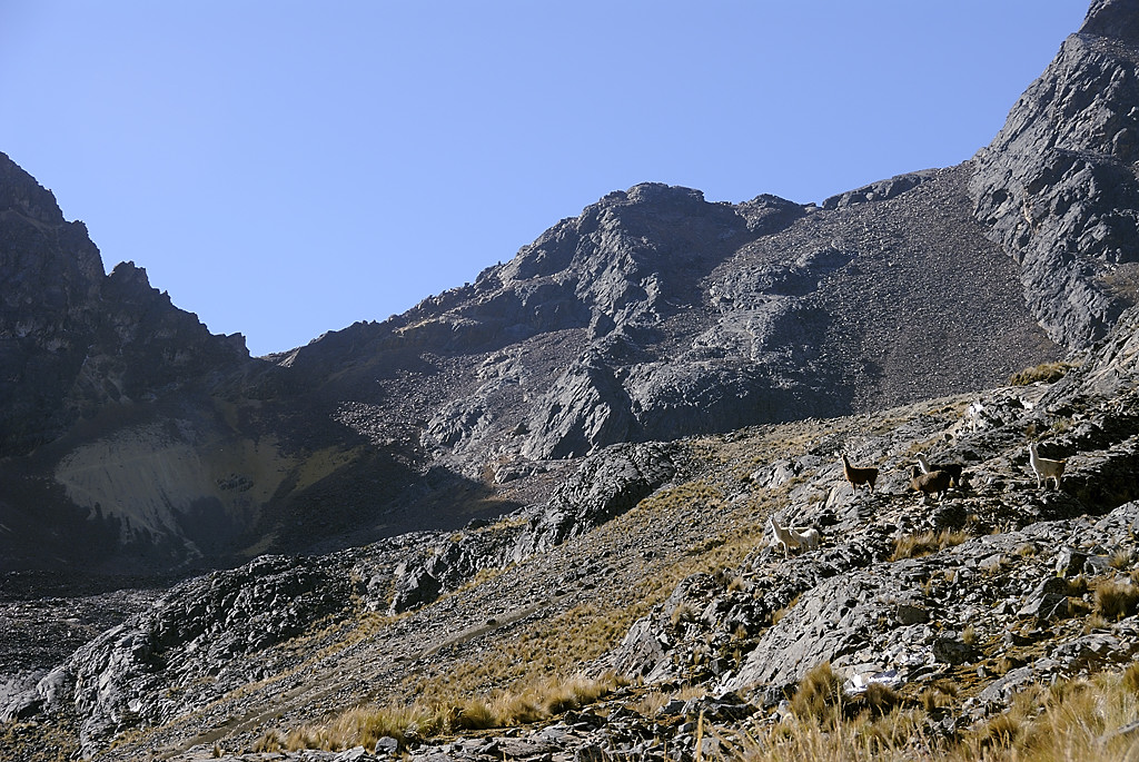 080723-01.jpg - Mont�e au Paso Wila Quta : vue sur le col