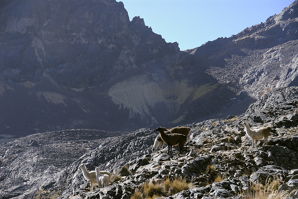 080723-02.jpg - Mont�e au Paso Wila Quta : vue sur le col