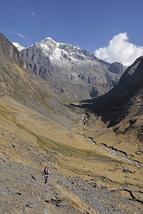 080723-17.jpg - Mont�e au dessus de l'Estancia Utana Pampa : vall�e de la Janq'Uma et massif de l'Illampu