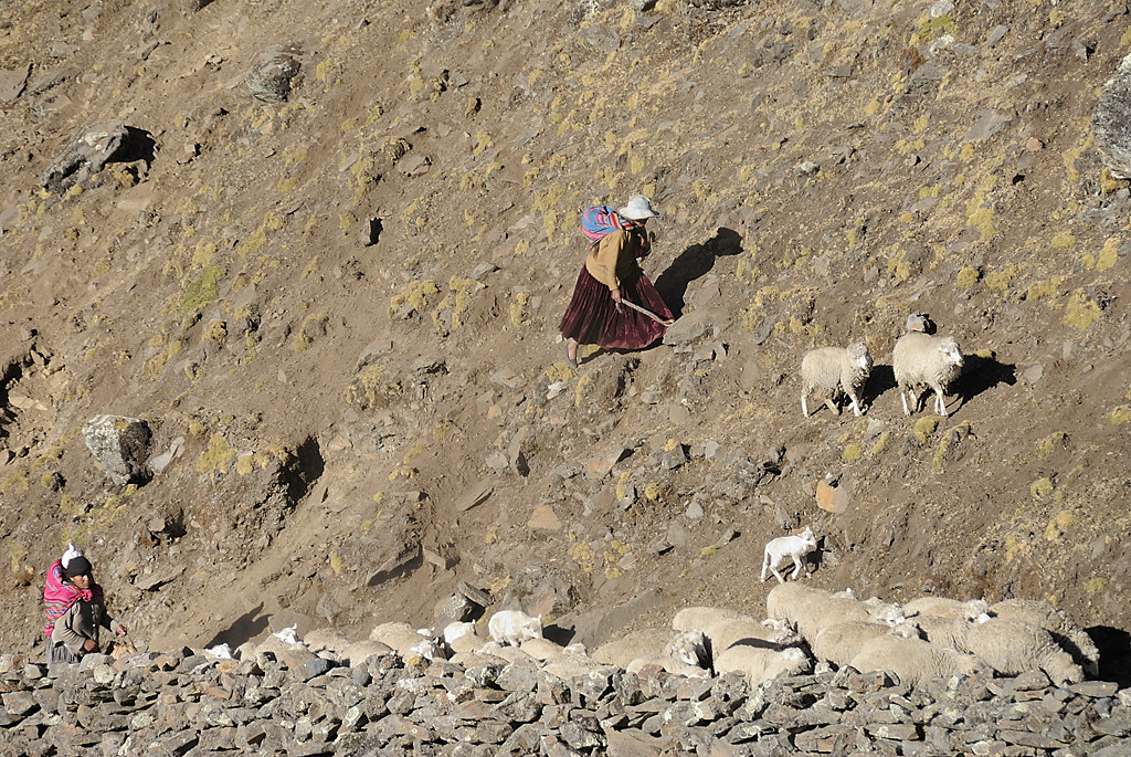 080725-05.jpg - Chajolpaya