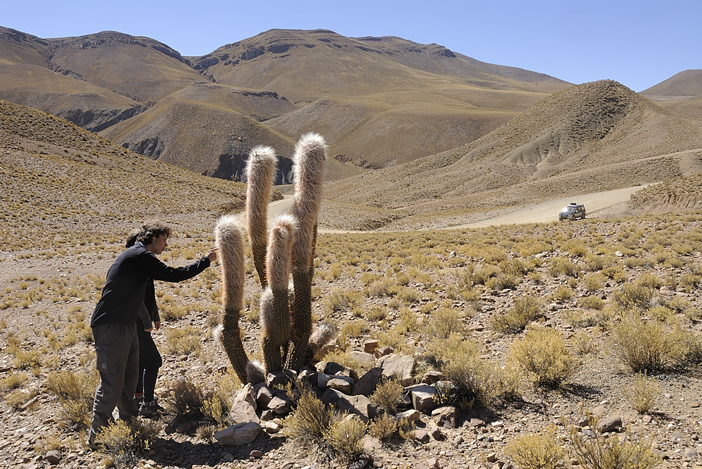 080802-09.jpg - Entre Uyuni et Potosi