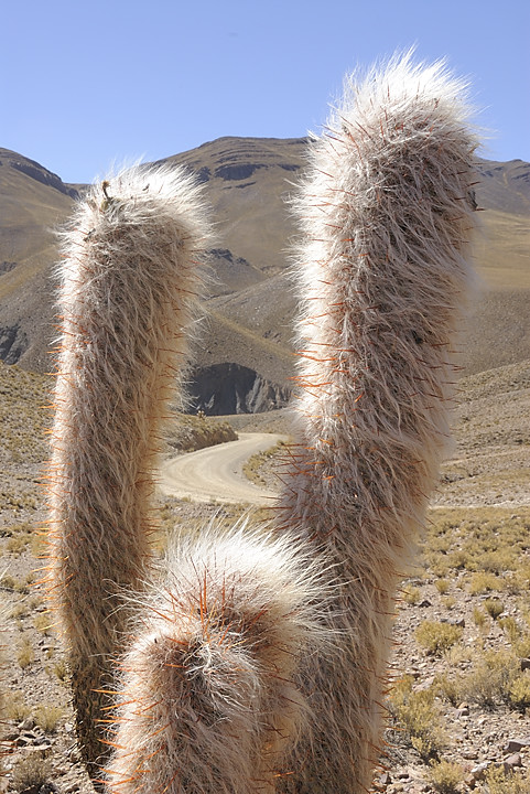 080802-13.jpg - Entre Uyuni et Potosi