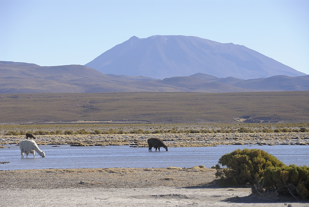 080803-07.jpg - Pr�s de Villa Alota