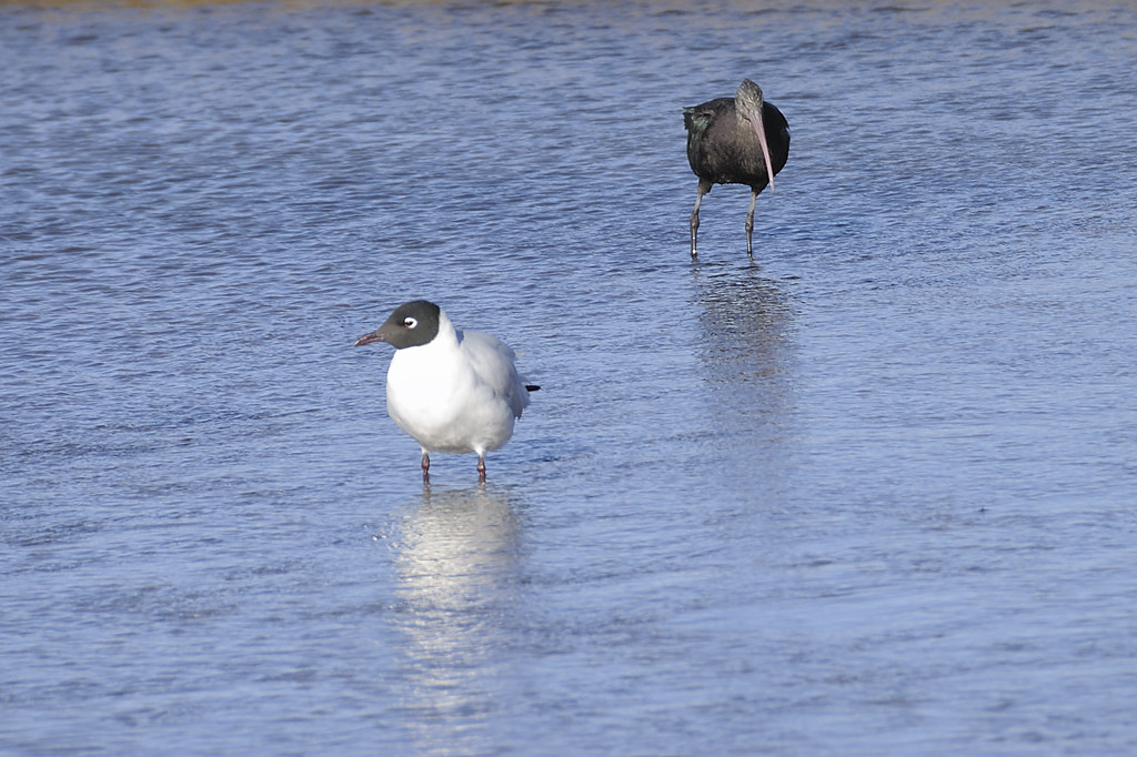 080803-10.jpg - Pr�s de Villa Alota