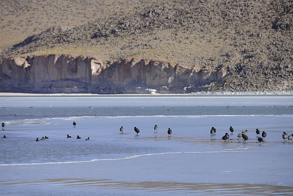 080804-26.jpg - Laguna Celeste