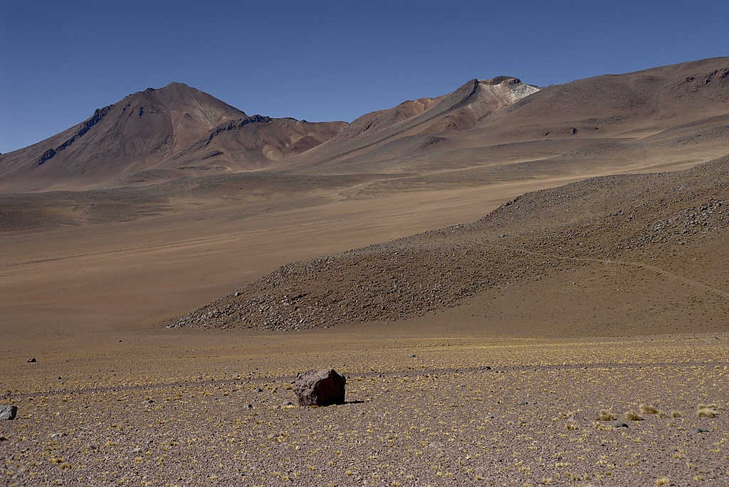 080806-017.jpg - Paysage du Sud Lipez