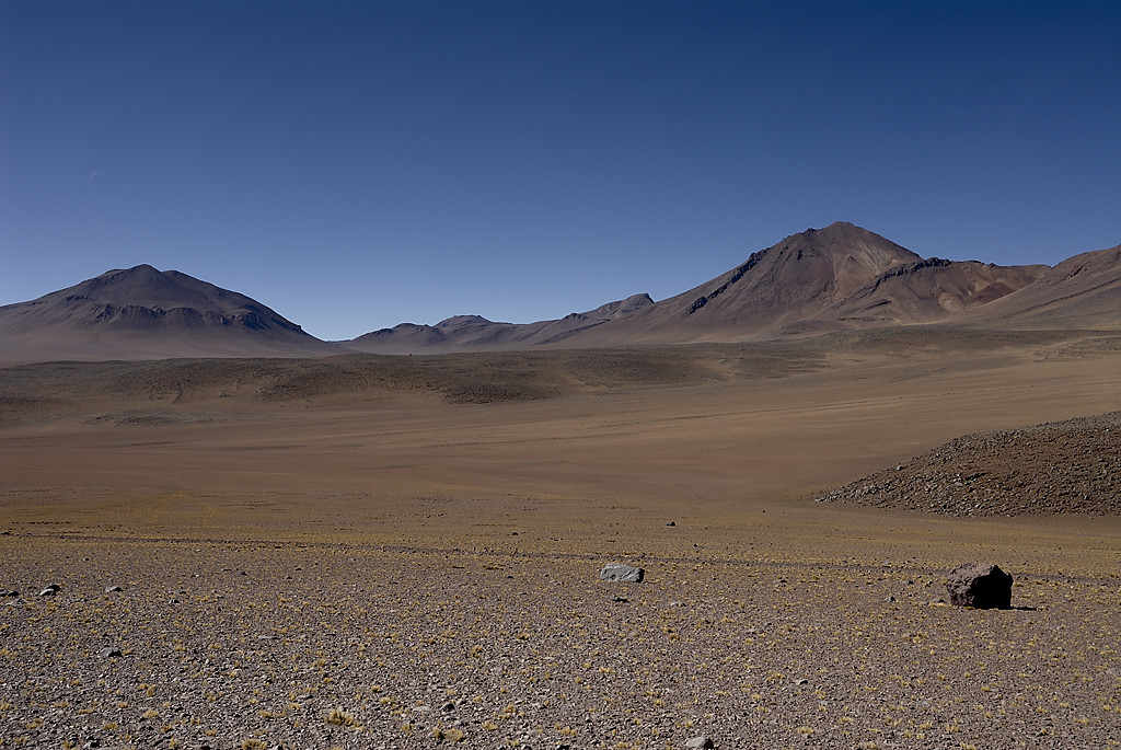 080806-019.jpg - Paysage du Sud Lipez