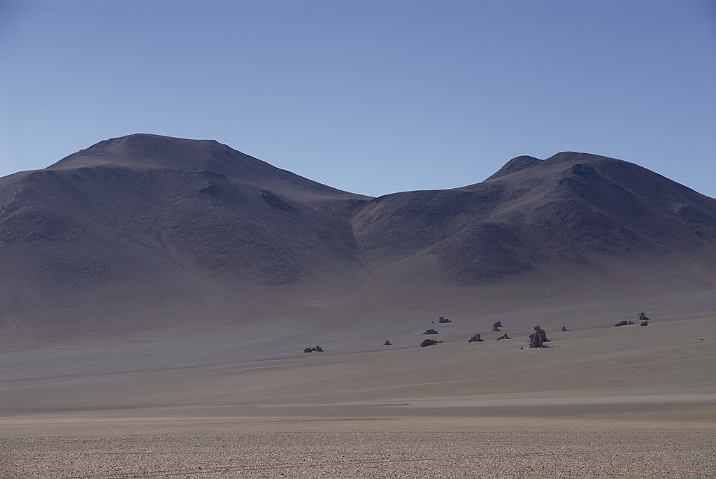 080806-021.jpg - Paysage du Sud Lipez, Pierres de Dali