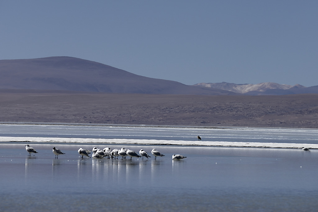 080806-028.jpg - Thermes de Chalviri