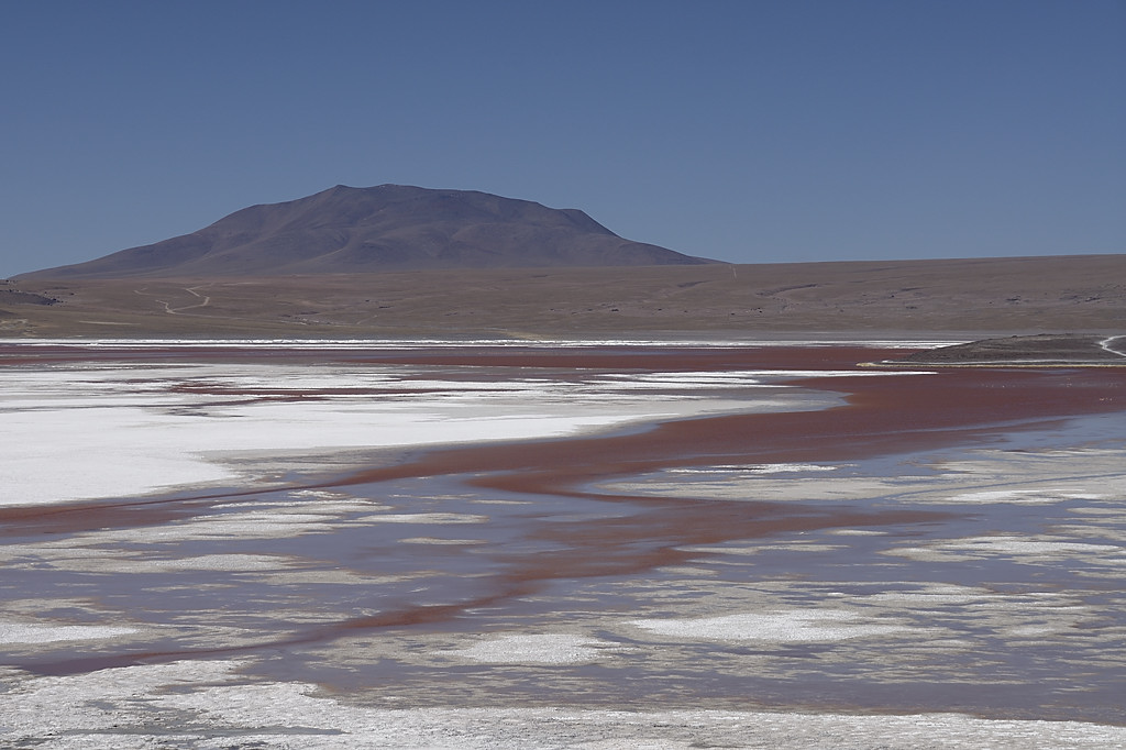 080806-094.jpg - Laguna Colorada